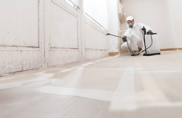 24/7 Emergency Mold Remediation experts in Winchester, MA